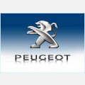 PEUGEOT - Saint Pierre du Perray 